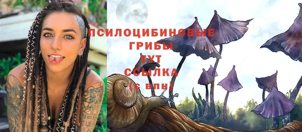 гашик Абдулино