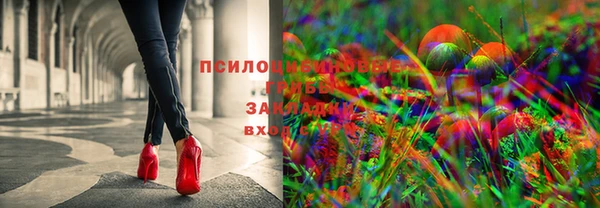 jwh Алексеевка